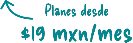 Pulpos Punto de Venta - Vista general del sistema